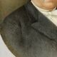 Miniature painted,  signature to identify nineteenth century man