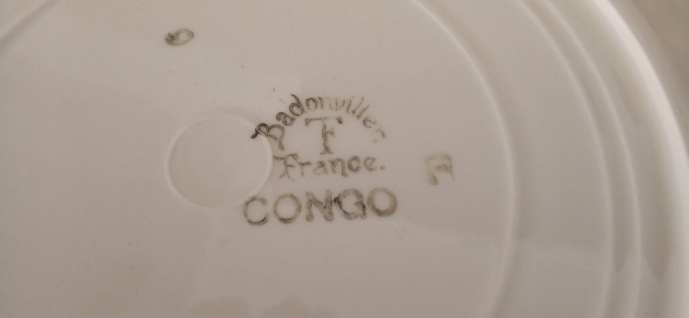 Congo Badonviller dinner plate