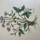 Vintage tray and under glass