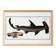 Poster about the hammerhead shark, a fish, based on an old engraving
