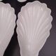 Set of 7 cups in white porcelain and in the shape of a shell - Pillivuyt around 1940