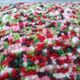 Coussin vintage