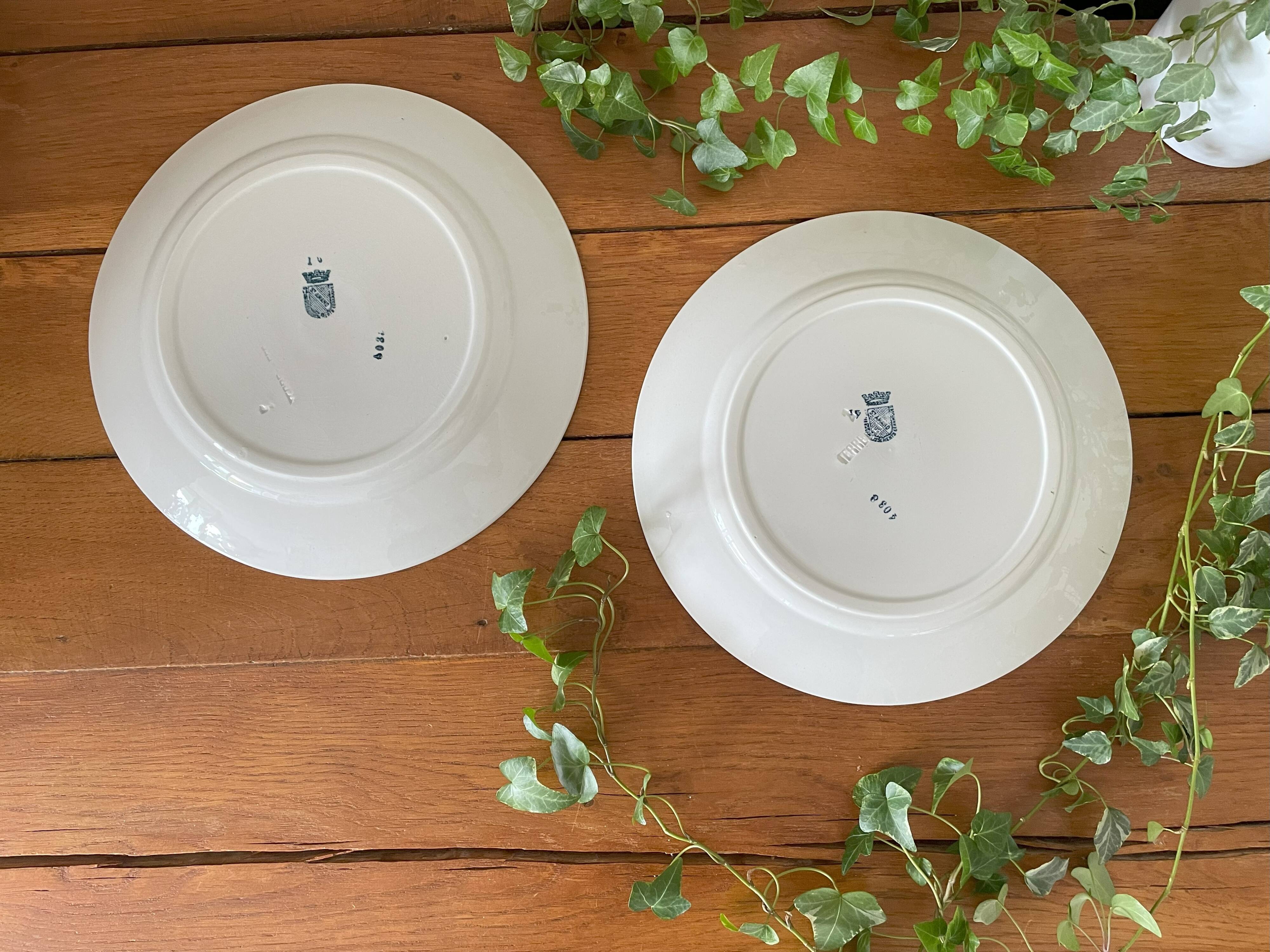 Pair of antique earthenware dishes from Saint-Amand (North)