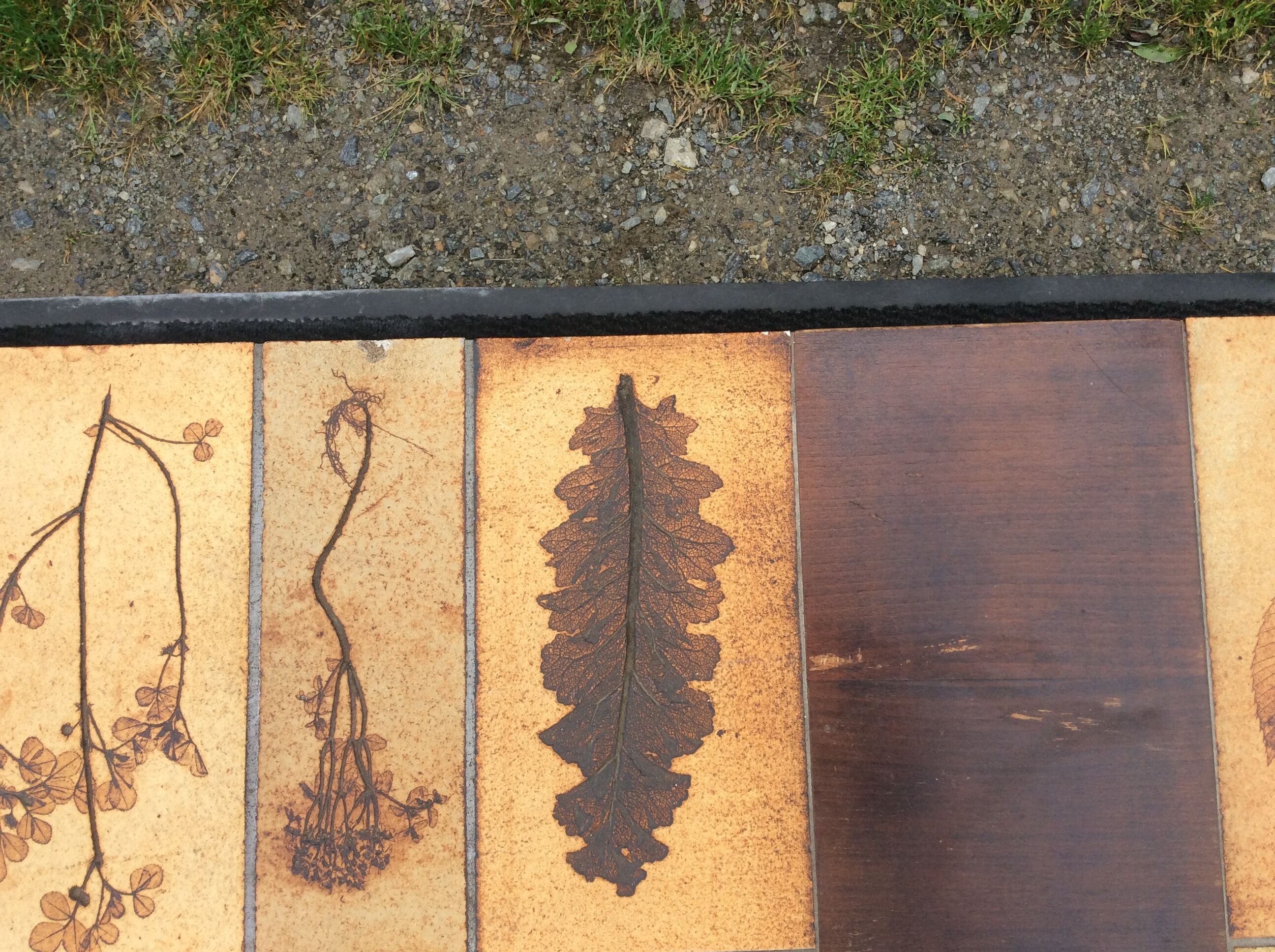 Vintage ceramic coffee table with Roger Capron style herbarium