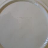 Asparagus slushie plate