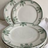 6 Fuchsia Onnaing flat plates