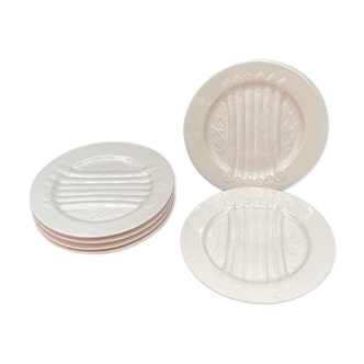 Lot de six assiettes asperges couleur rose pâle en porcelaine dimension : D-25cm-