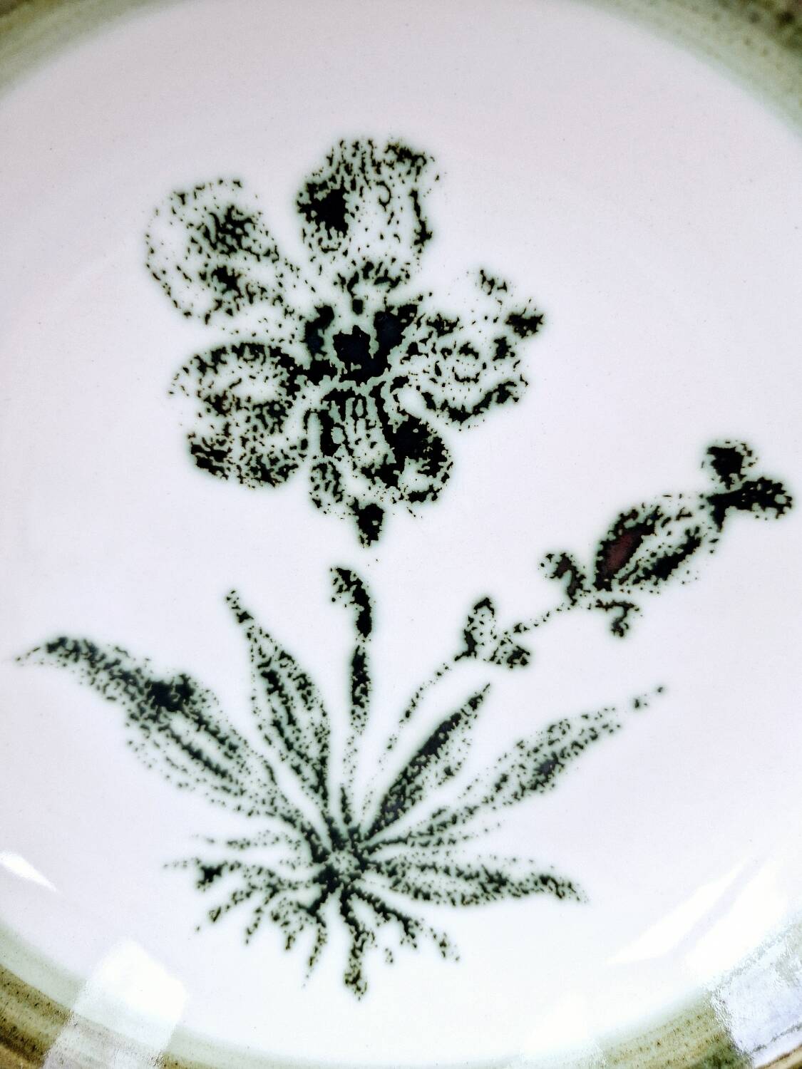 8 vintage hollow plates earthenware Gien model Herbiers table arts France