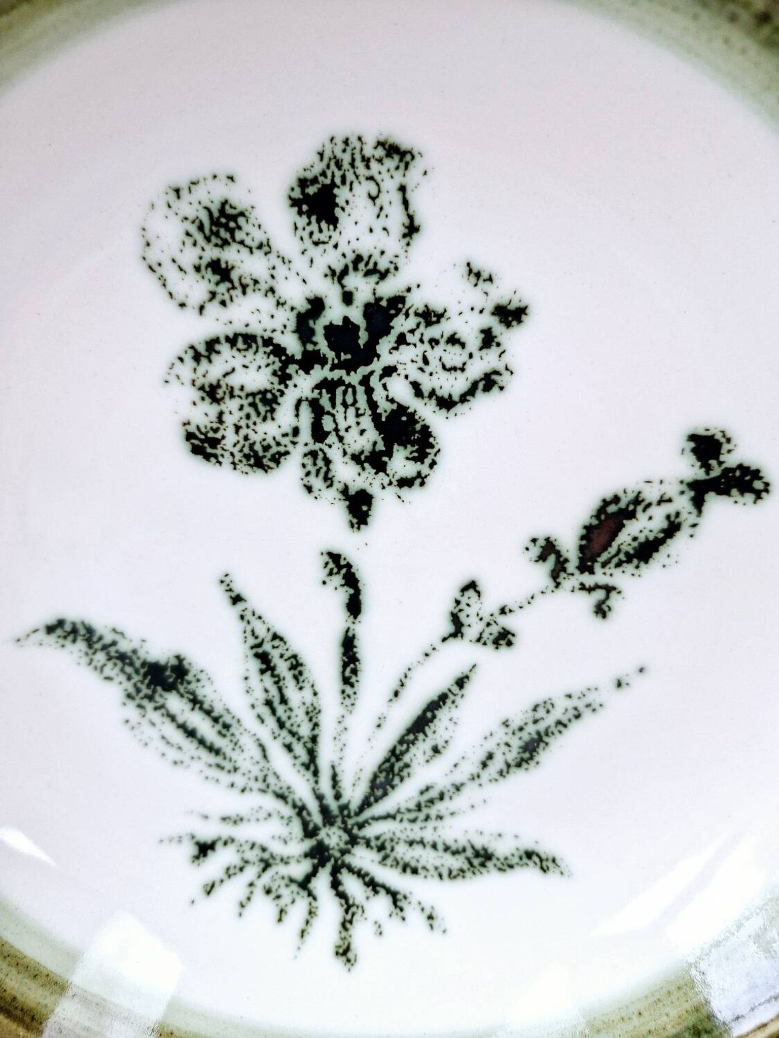 8 vintage hollow plates earthenware Gien model Herbiers table arts France
