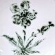 8 vintage hollow plates earthenware Gien model Herbiers table arts France