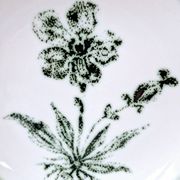 8 vintage hollow plates earthenware Gien model Herbiers table arts France