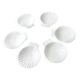 6 Pillivuyt White Porcelain Shell Bowls