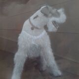 Tableau pastel chien fox terrier