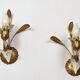 Paire appliques feuilles