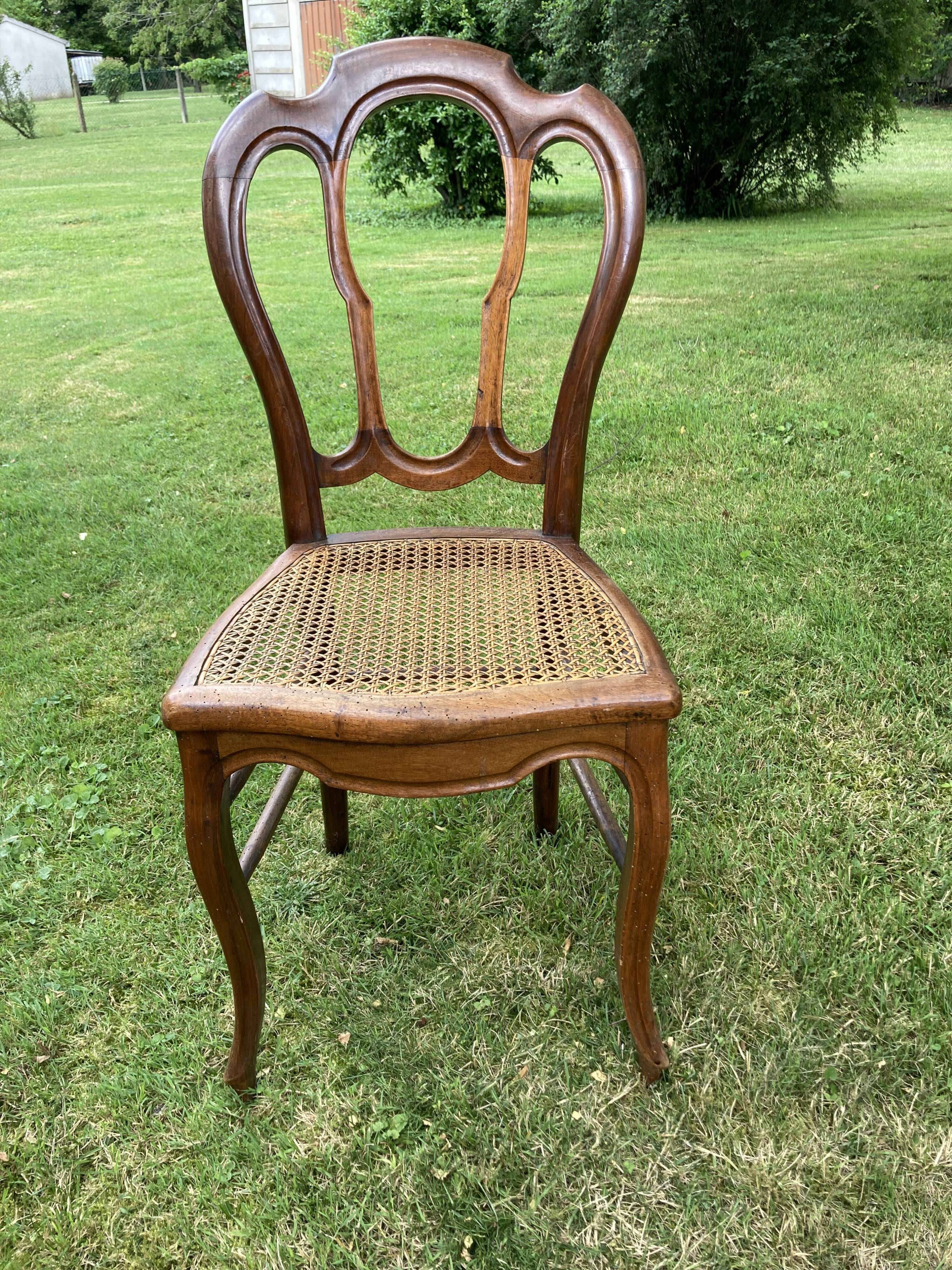 6 louis philippe cannate chairs