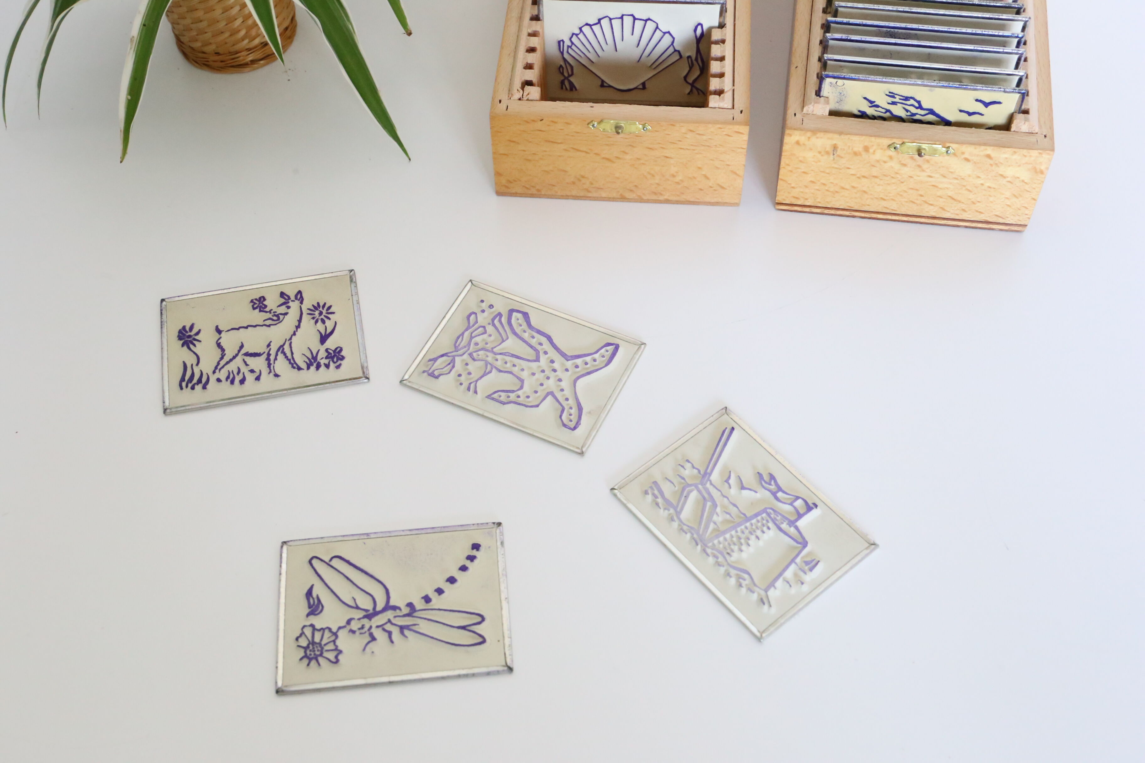 Stamp boxes, stamps, school, theme the4 seasons