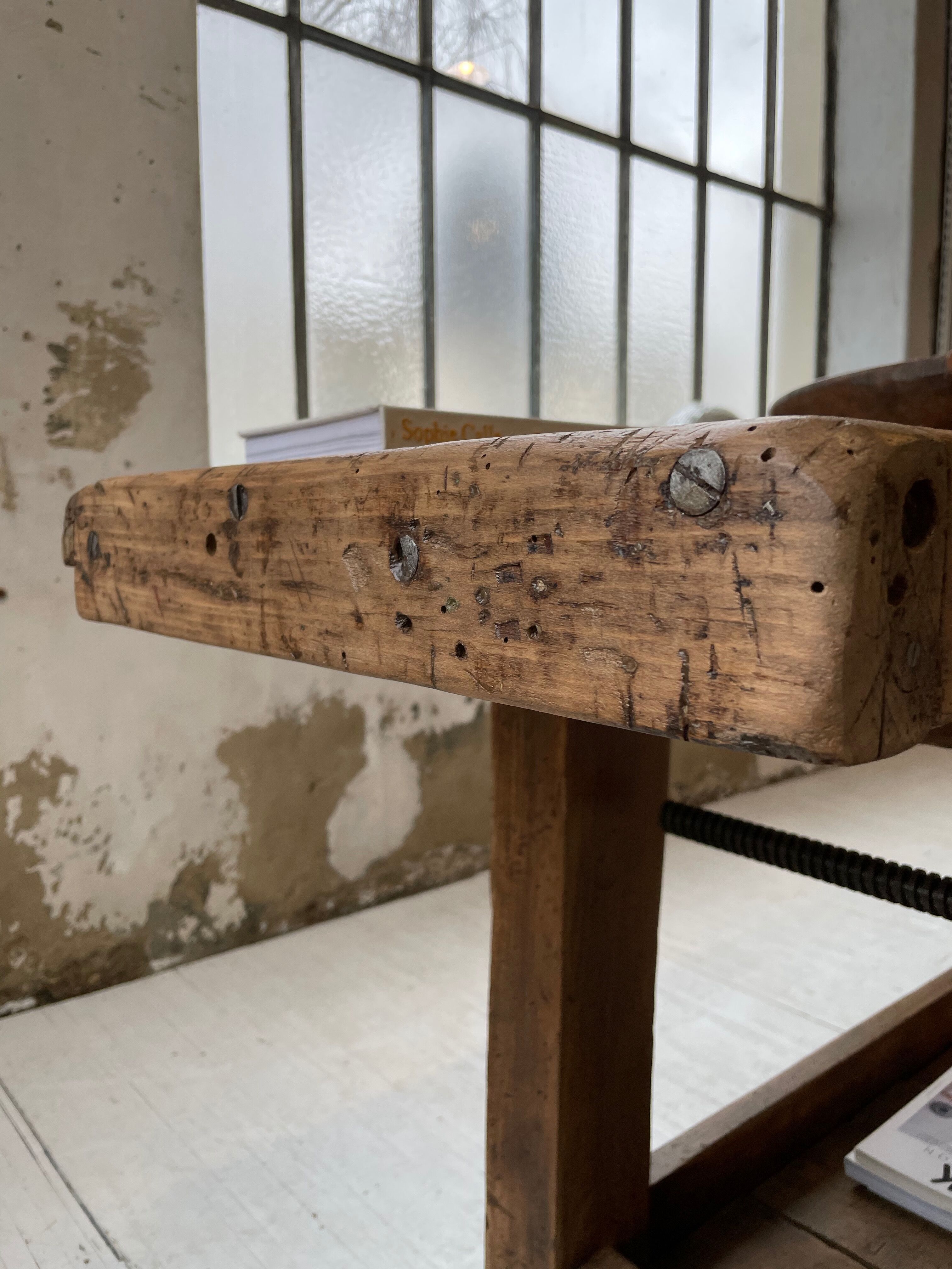 Established old oak XL