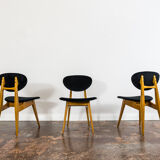 Set of 3 chairs by Juliusz Kędziorek 1960's