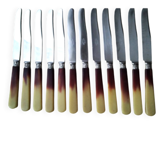 12 Cheese or fruit knives with bovine horn handles