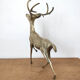 Brass deer 40cm