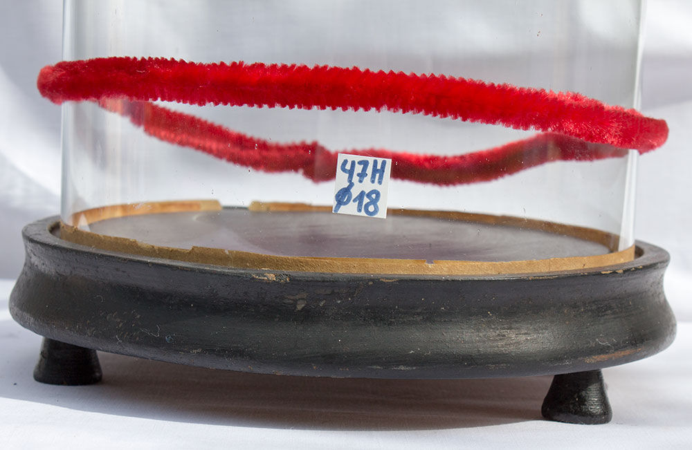 Ancient round glass globe 47 x 18 cm bridal globe