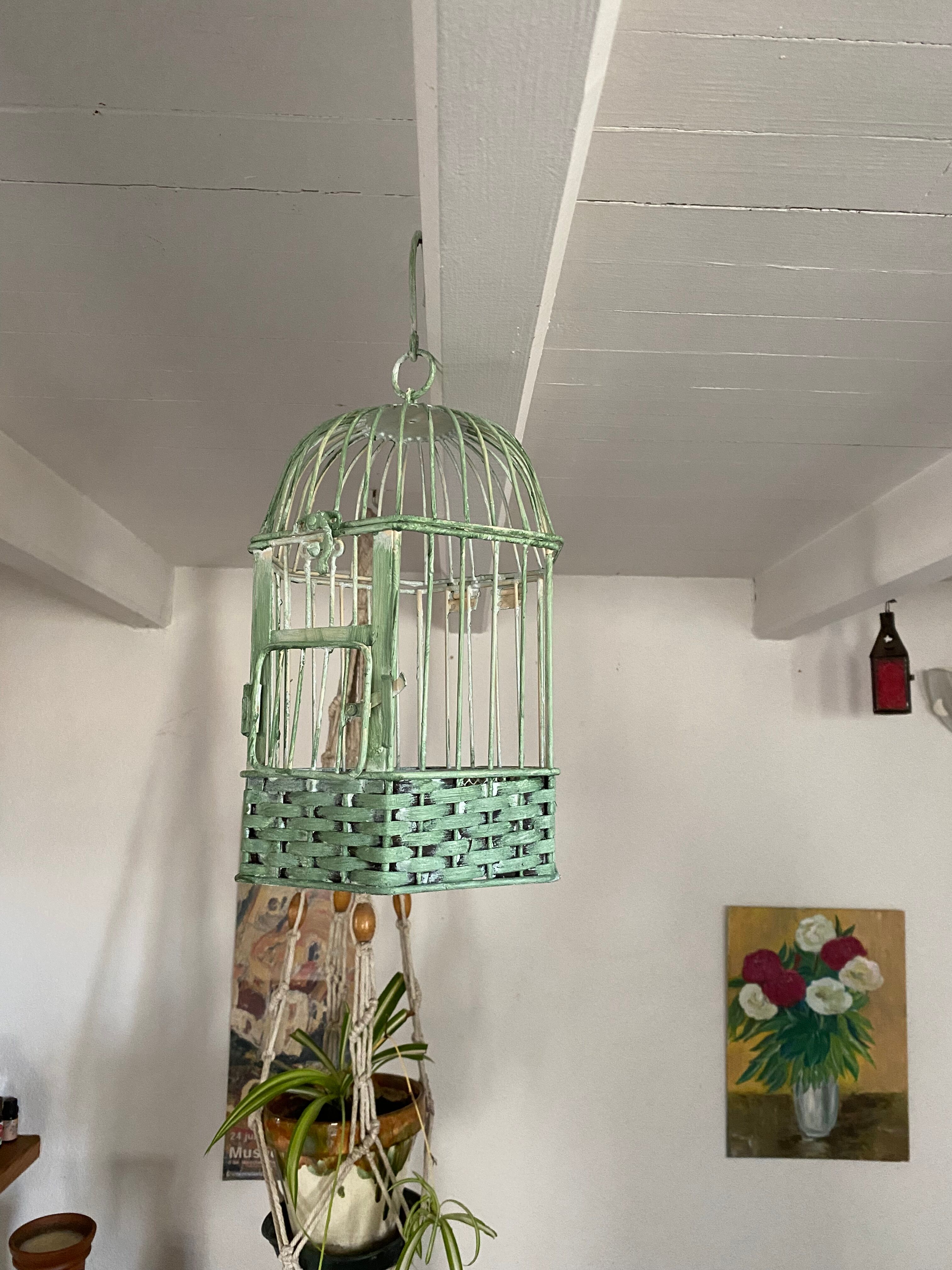 Decorative iron cage