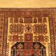 Tapis Caucasien Shirvan 250x180cm