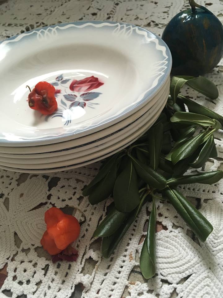 Six soup plates don't match in red and blue