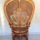 Fauteuil emmanuelle peacock