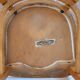 Lot de chaises Thonet
