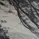 Anonymous silver photo africa beach sea circa 1970