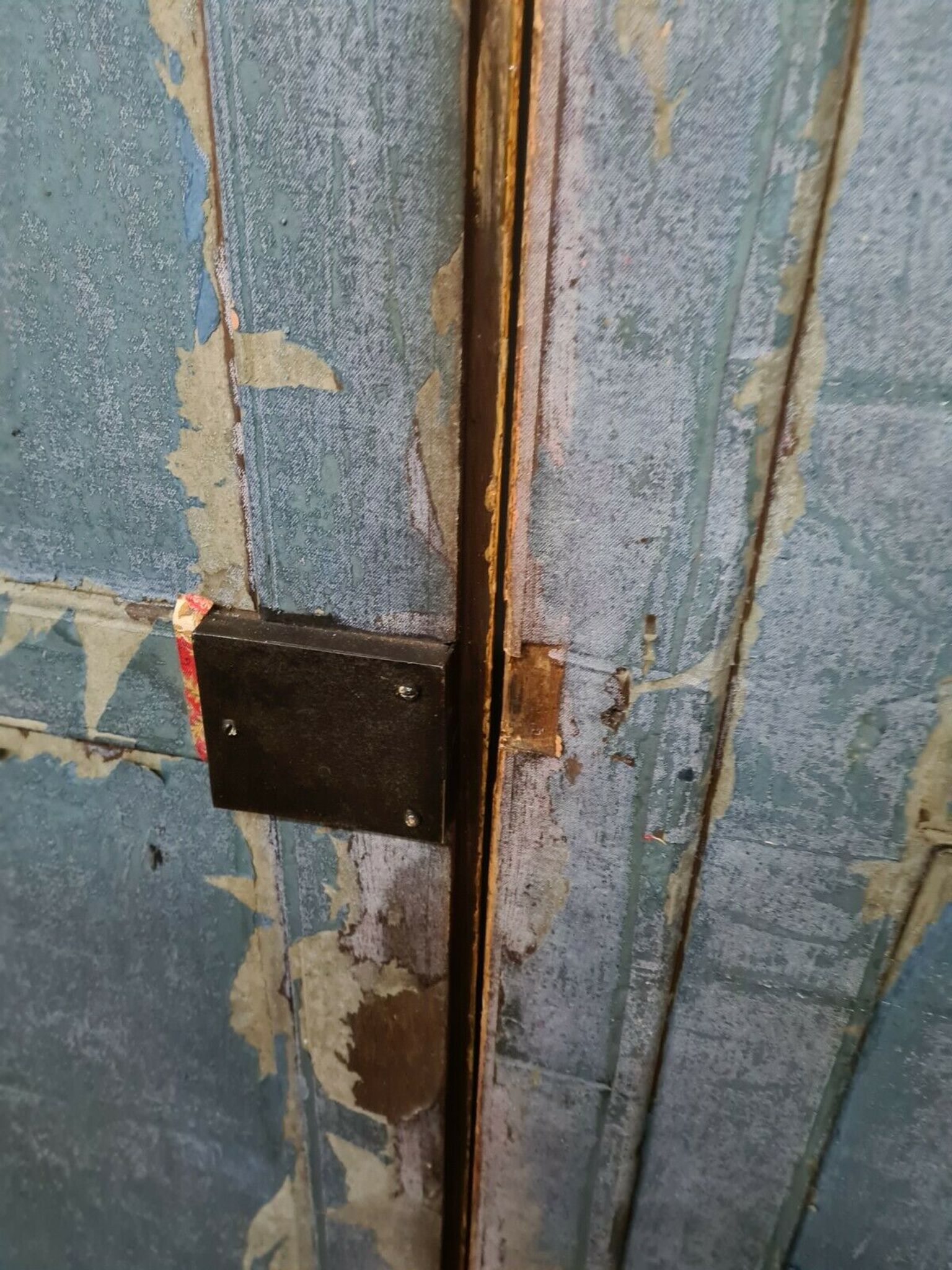 Pair of oak doors