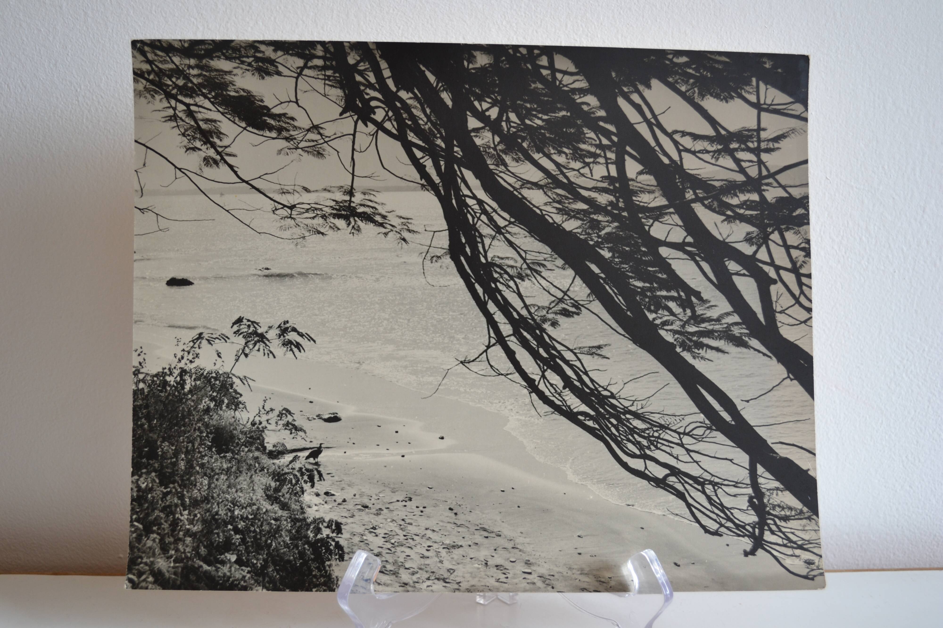 Anonymous silver photo africa beach sea circa 1970