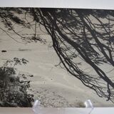 Anonymous silver photo africa beach sea circa 1970