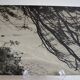 Anonymous silver photo africa beach sea circa 1970