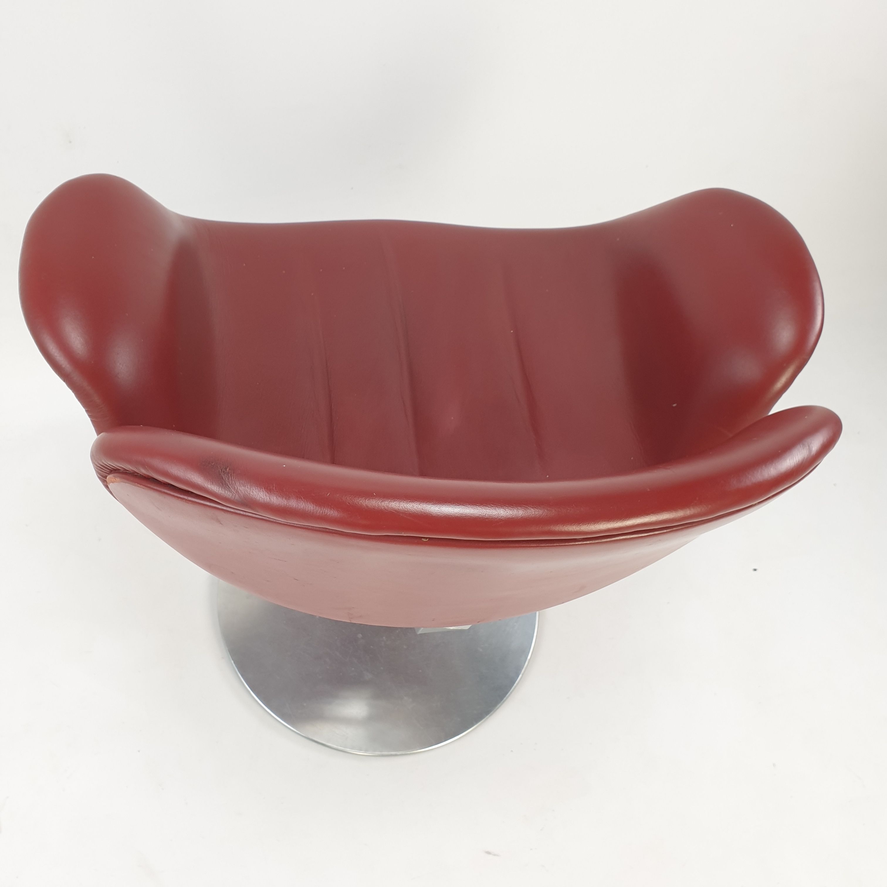Little Tulip armchair by Pierre Paulin for Artifort 1980s