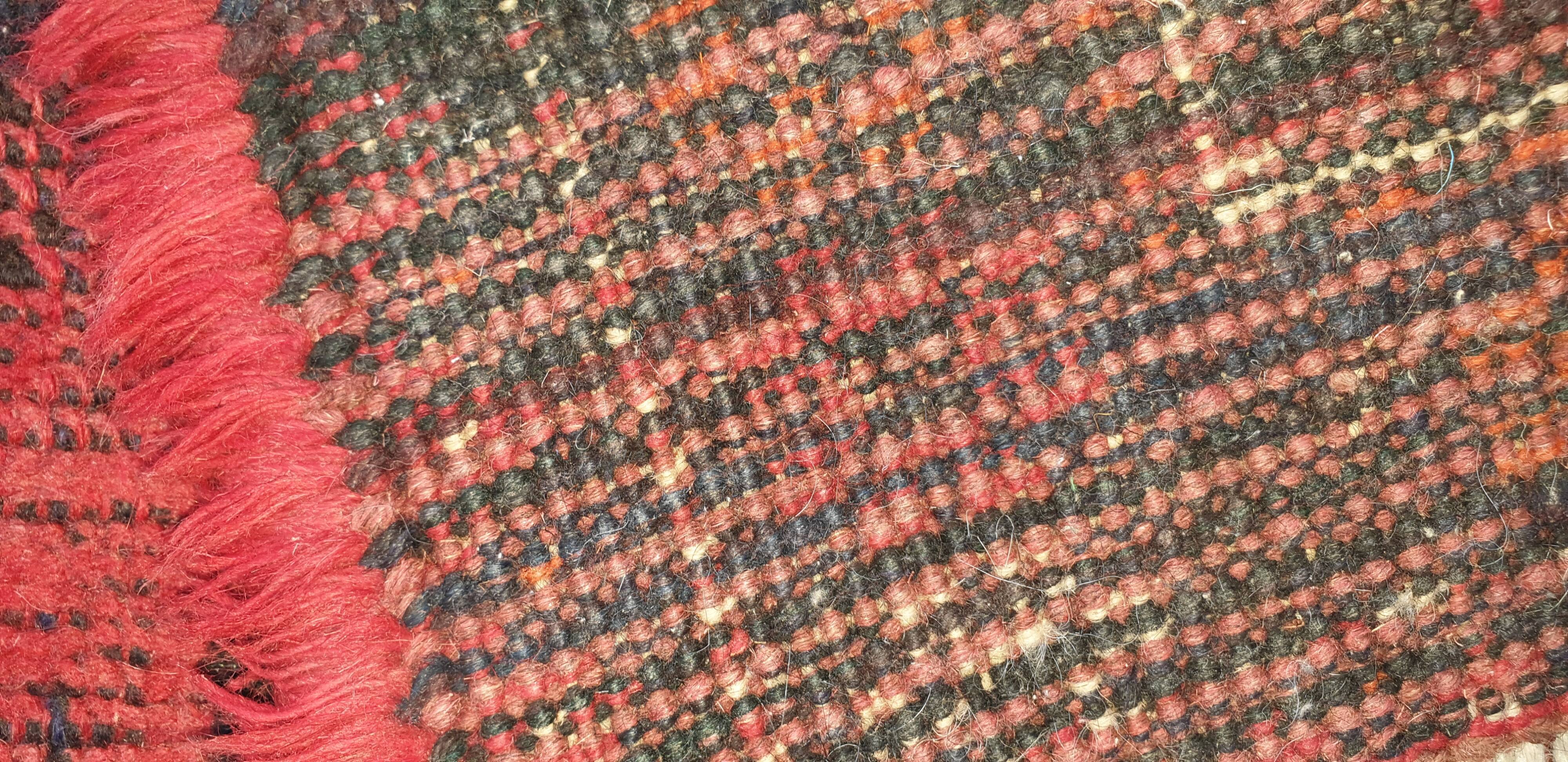 Oriental carpet wool