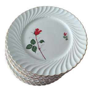 Assiettes plates KG Luneville Badonviller