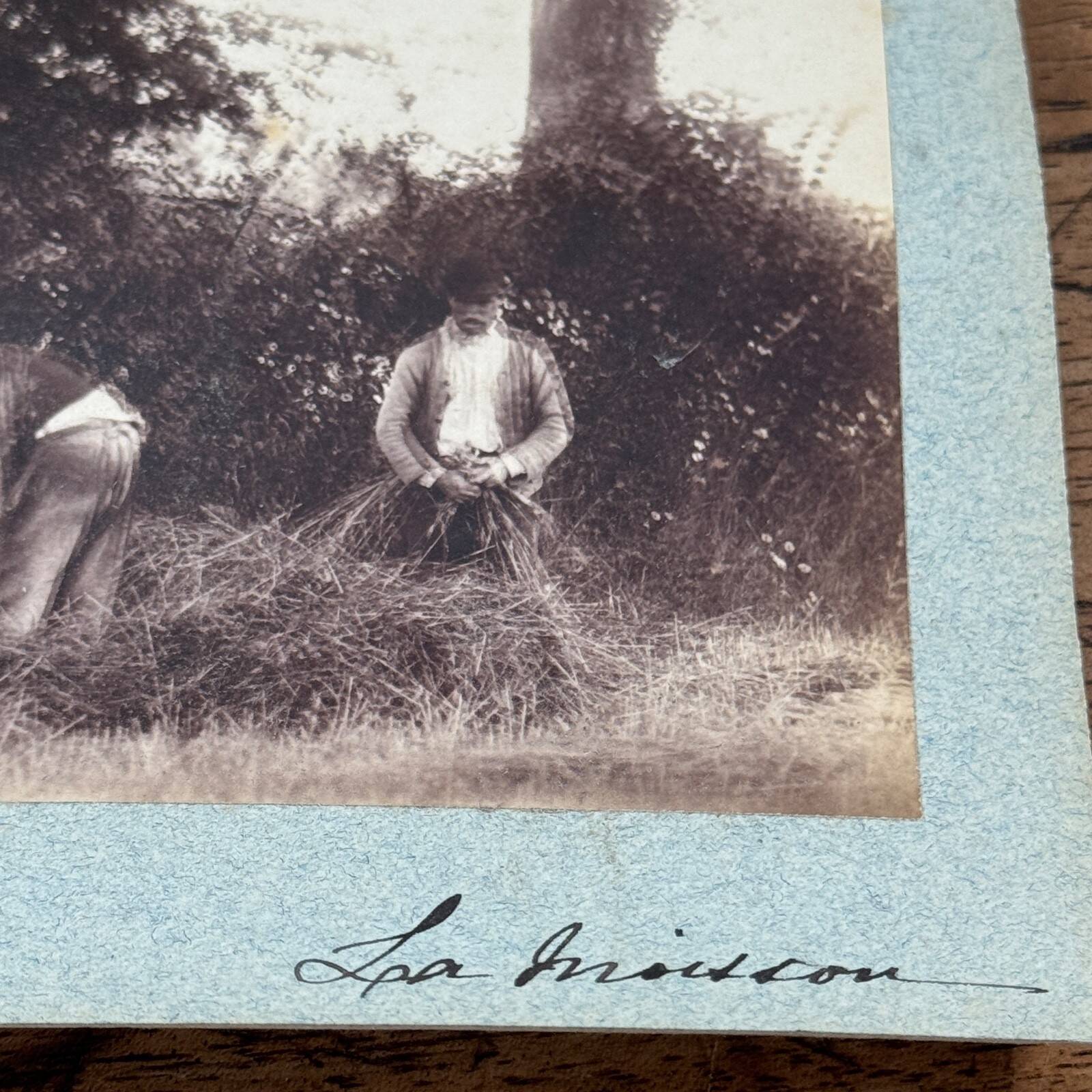 Photo albumine contrecollée sur carton représentant des moissonneurs