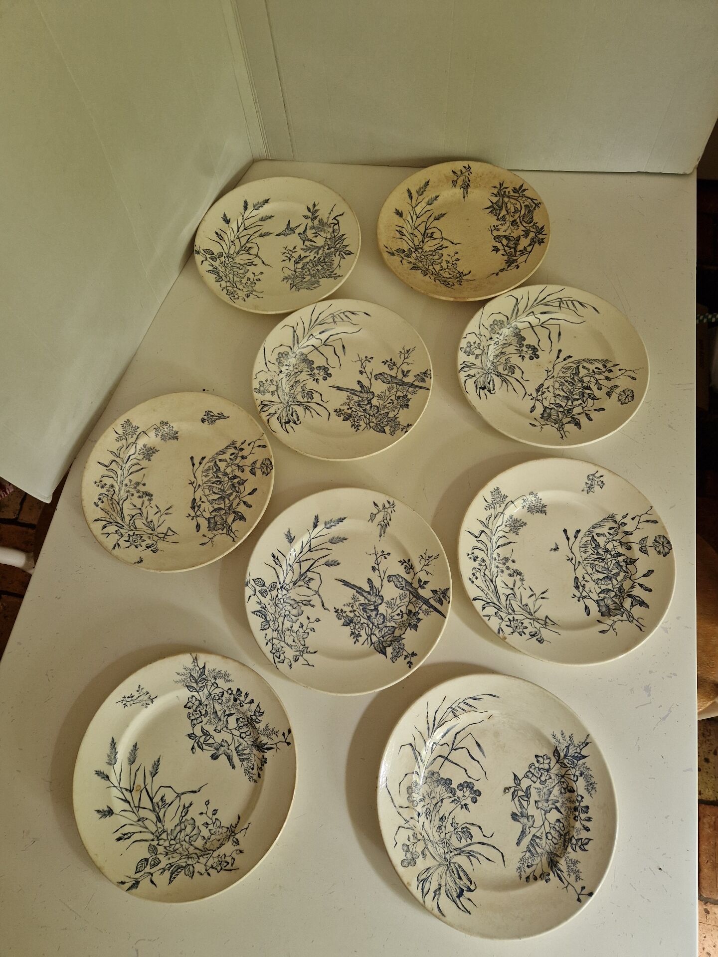 Lot De 9 Assiettes Plates Terre De Fer