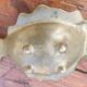 Brass fish pocket empty