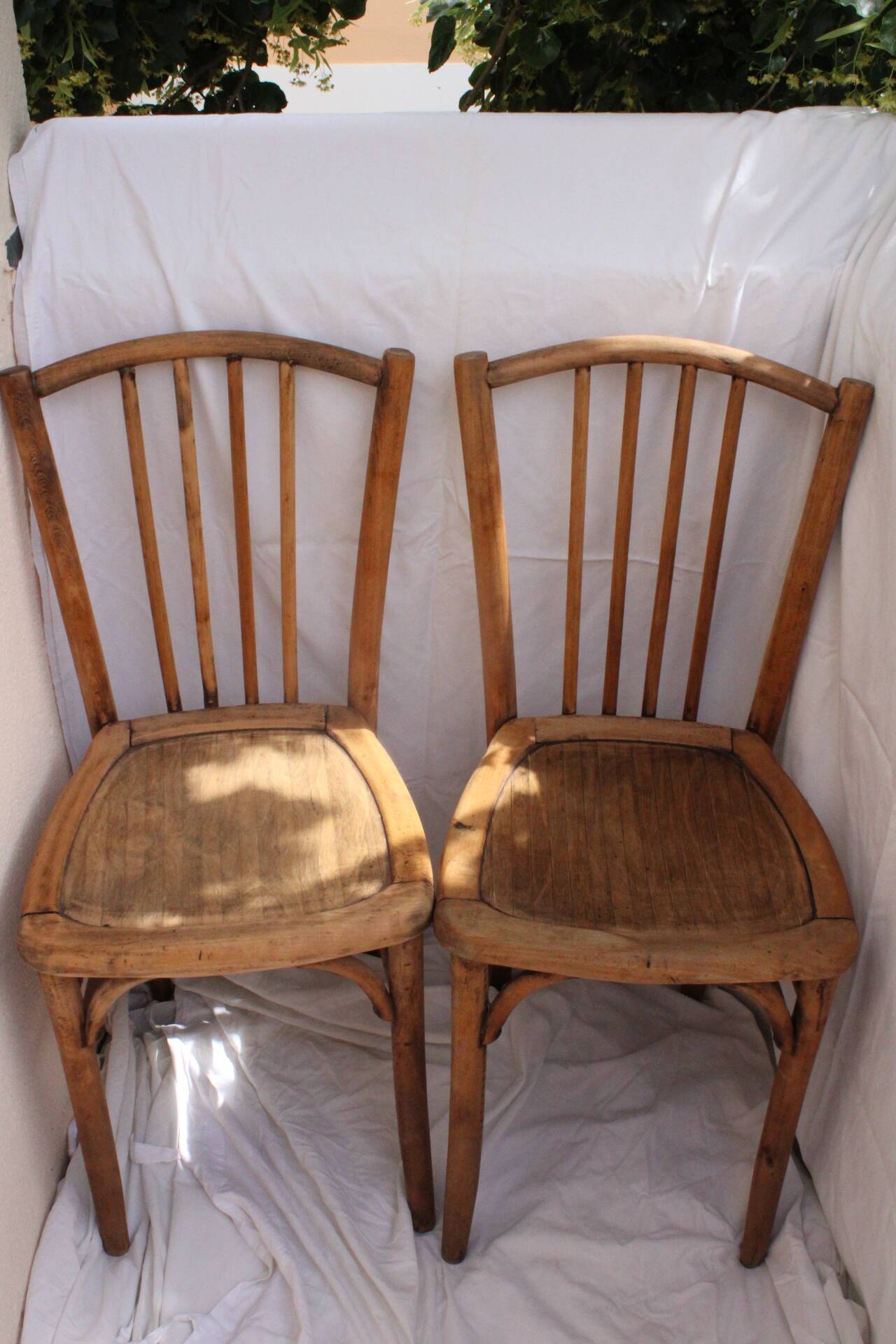 Duo of bistro chairs in bare wood, fully sanded and curved wooden backrest