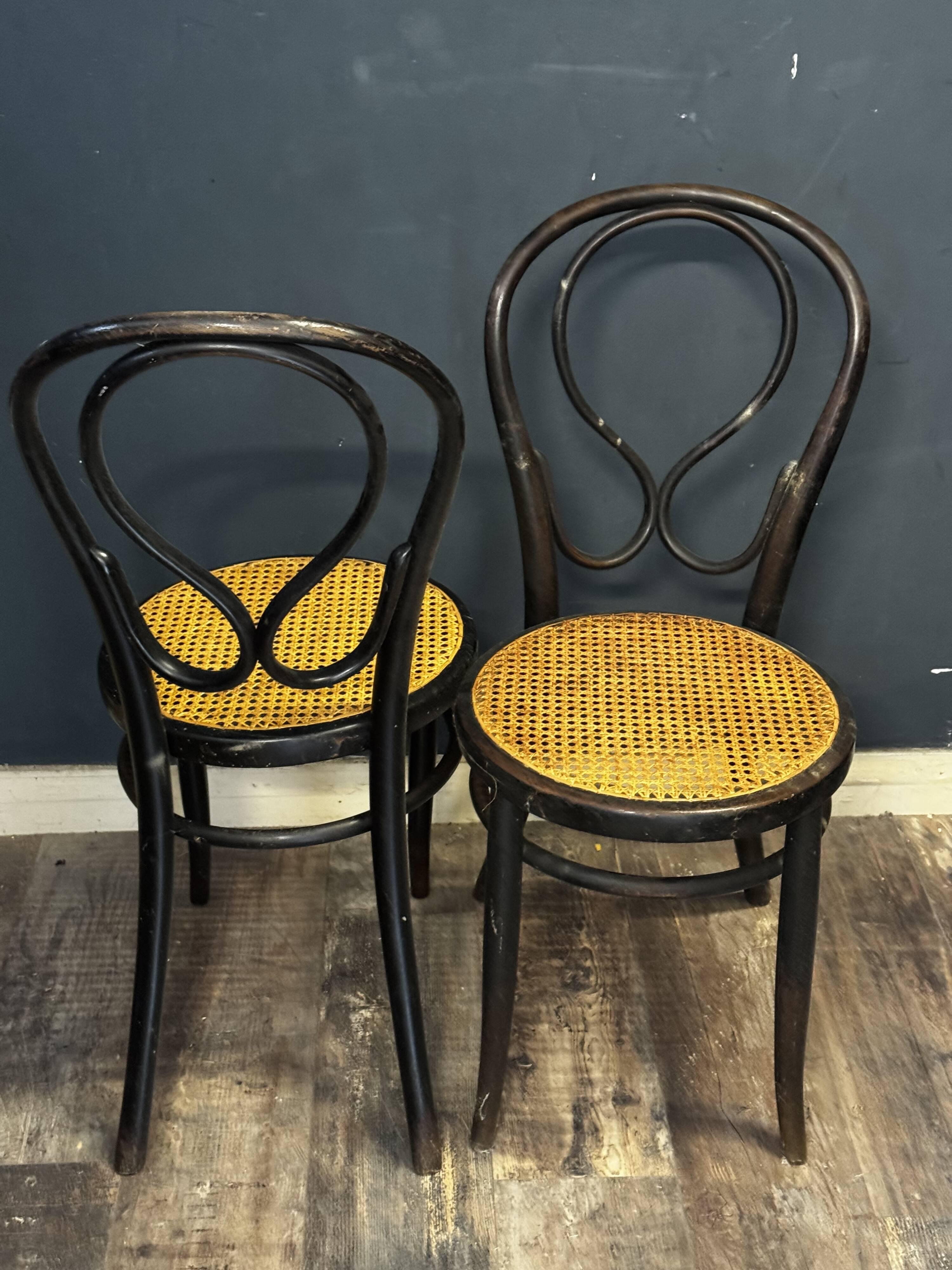 Pair of Thonet chairs - new caning