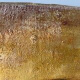 Portrait guitarist signed Kiffer