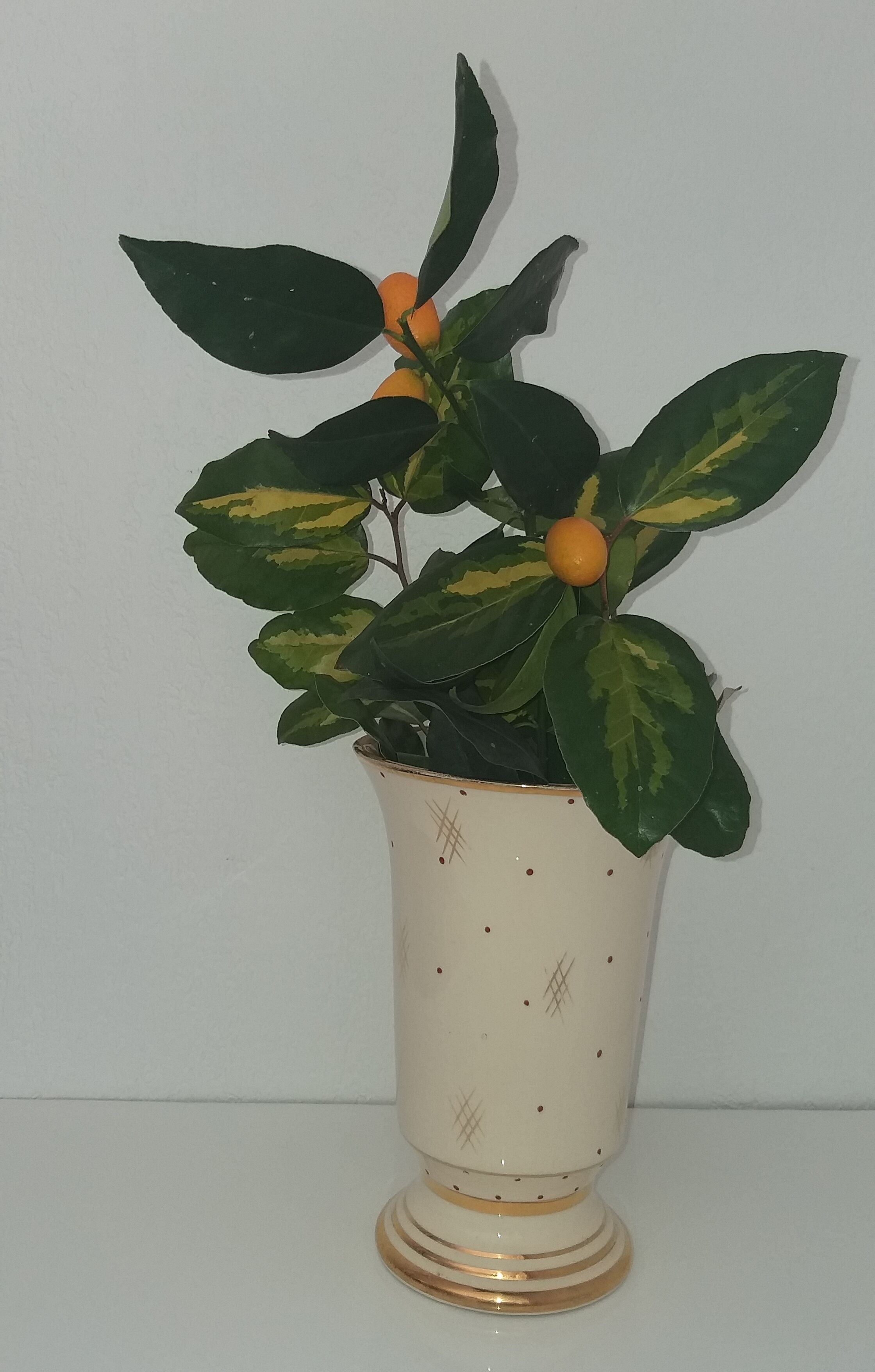 Vase ceramic (Jilda paris MP)