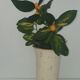Vase ceramic (Jilda paris MP)