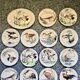 Service de table assiettes et plats Gien modèle grands oiseaux