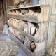 Ancien grainetier , meublé casiers en bois