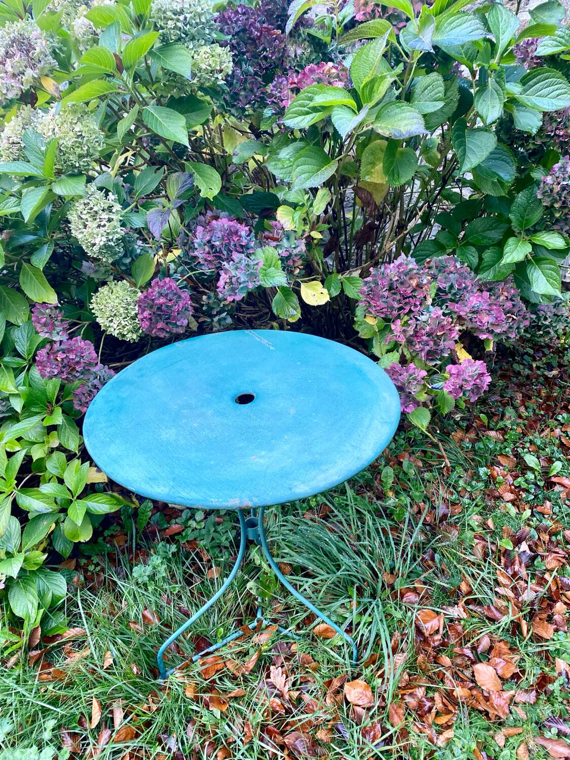 Table de jardin vintage verte