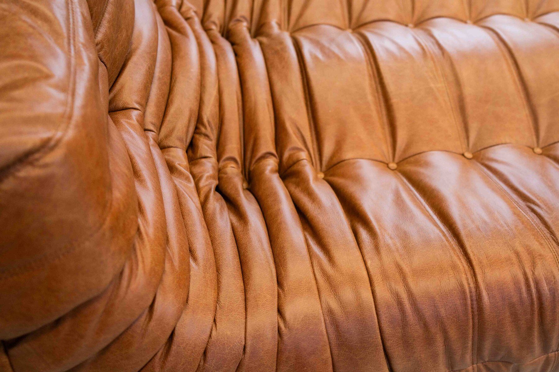 Togo chaise lounge in pine leather by Michel Ducaroy for Ligne Roset, 1974